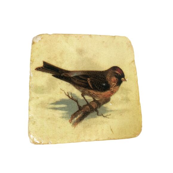 Set of 4 Sparrow Finch Tile Coasters w/ Cork Back - Picture 4 of 9